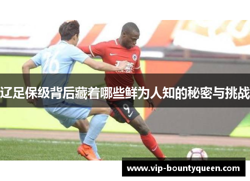 辽足保级背后藏着哪些鲜为人知的秘密与挑战